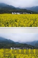 足球比分截图预测-揭秘足球比分截图预测，科学还是玄学？如何理性看待这一新兴趋势